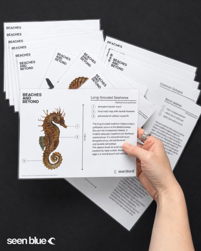 hand holding beaches & beyond educational material