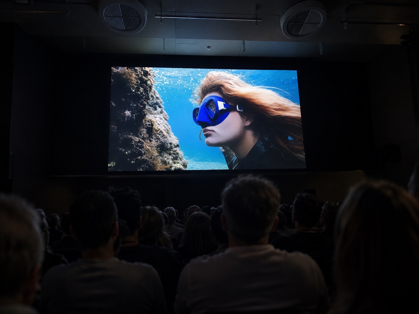 Film screen with audience