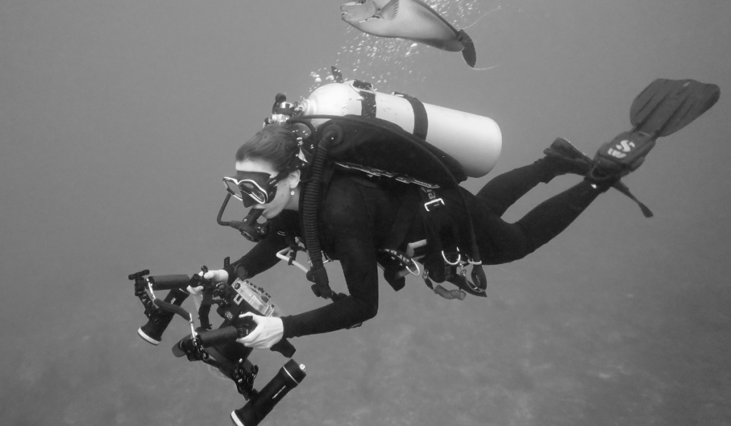 Sabine M. Probst Saavedra filming for Seen Blues Shark Conservation Month